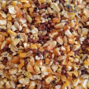 MEZCLA DE GALLINA  SIN GIRASOL 35 KG