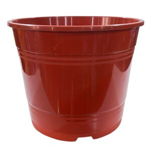 LJ-MACETA ROCIO COLOR Nº35 BORDO