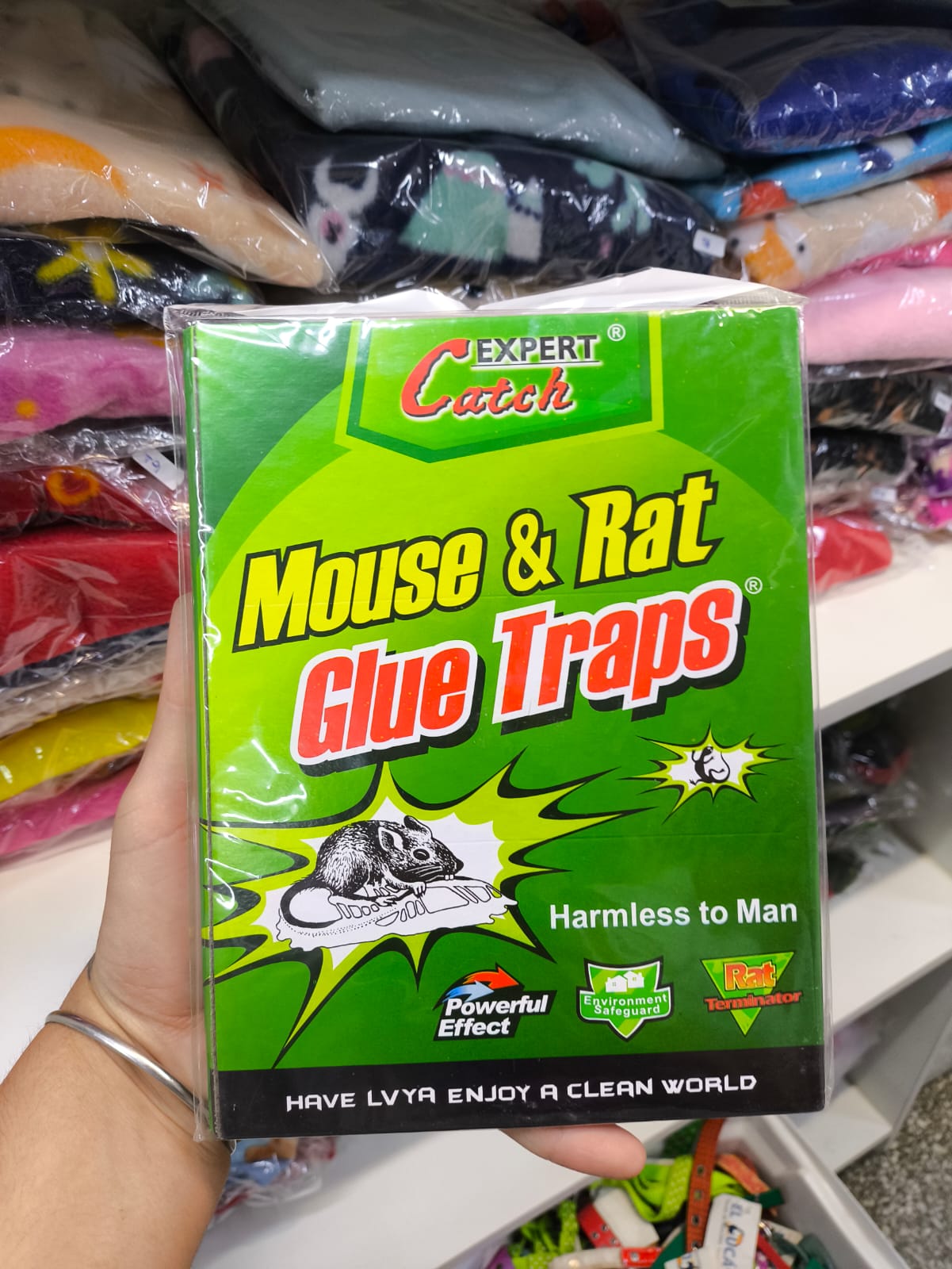 trampa rata pegamento blue