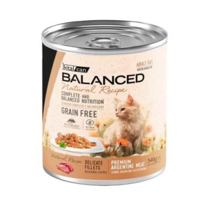 LATAS NATURAL RECIPE GATO ADULTO FILETES CARNE 340GR