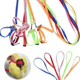 ARNES PARA AVES CON CORREA TALLE S