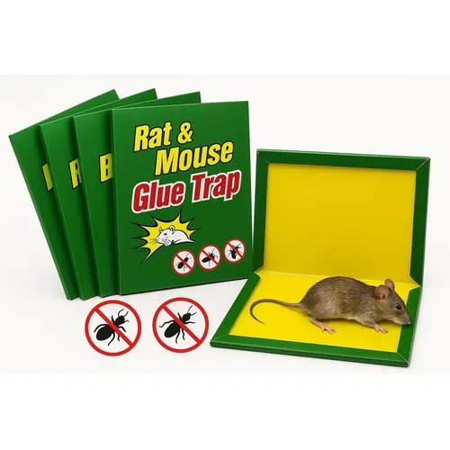 GLUE TRAP