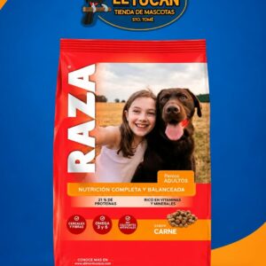 RAZA PERRO ADULTO CARNE 20KG