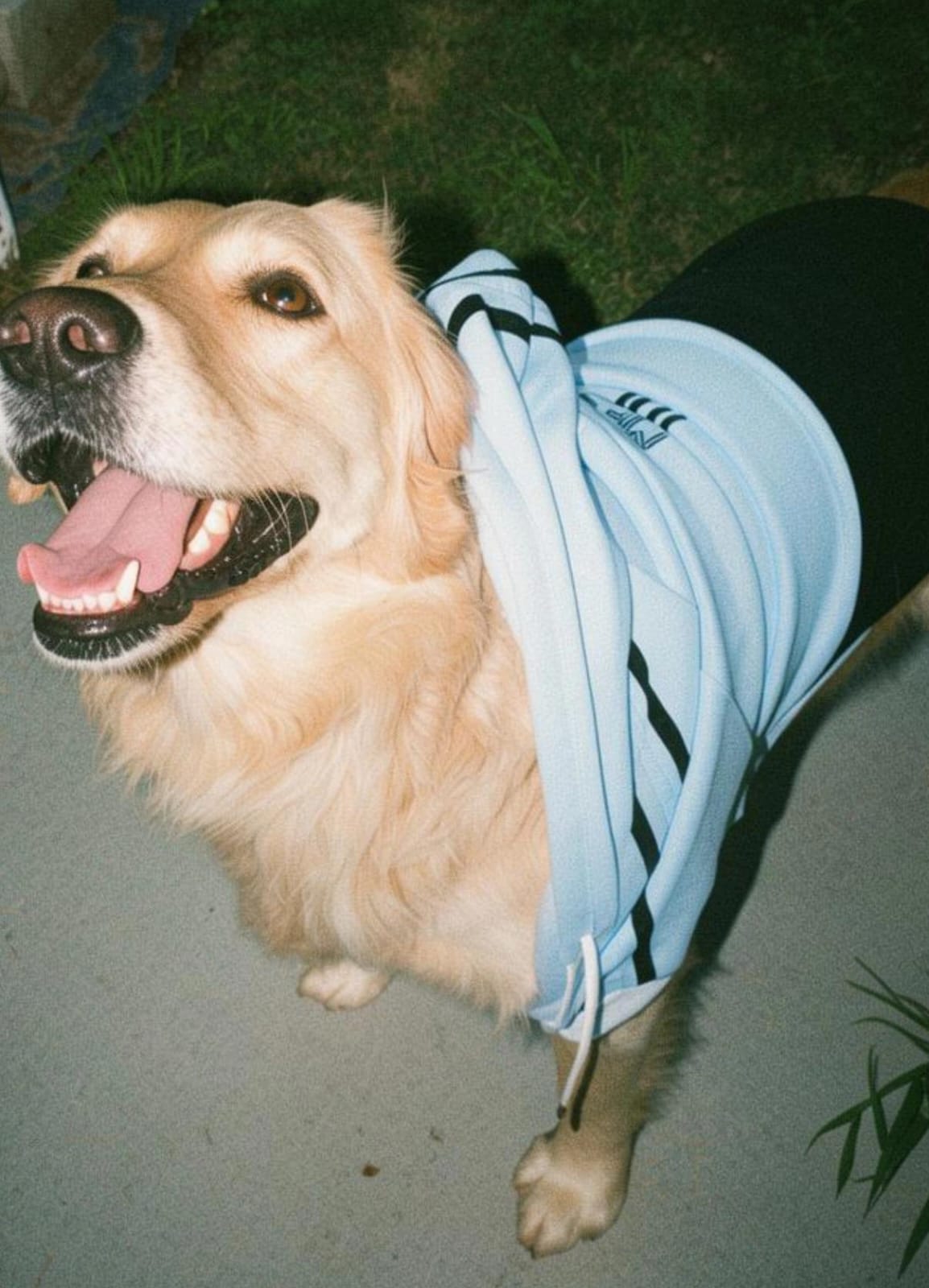 CAMPERA MESSI