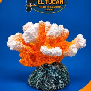 CORAL DE RESINA MEDIANO SH84